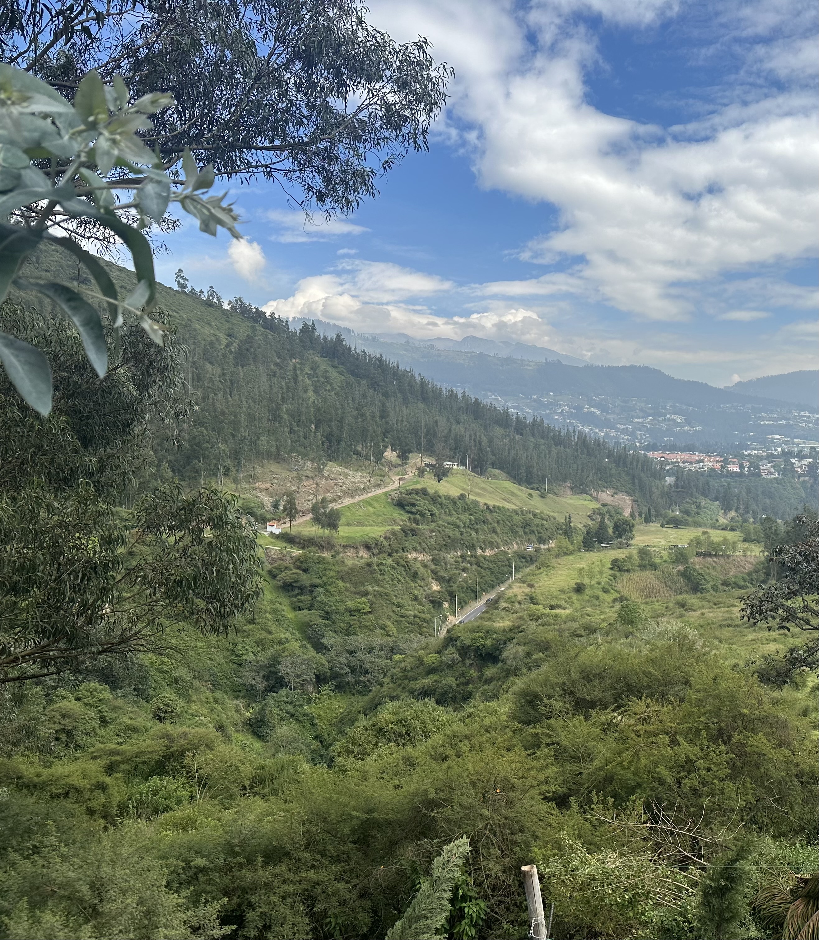 Lake with lily pads and clouds