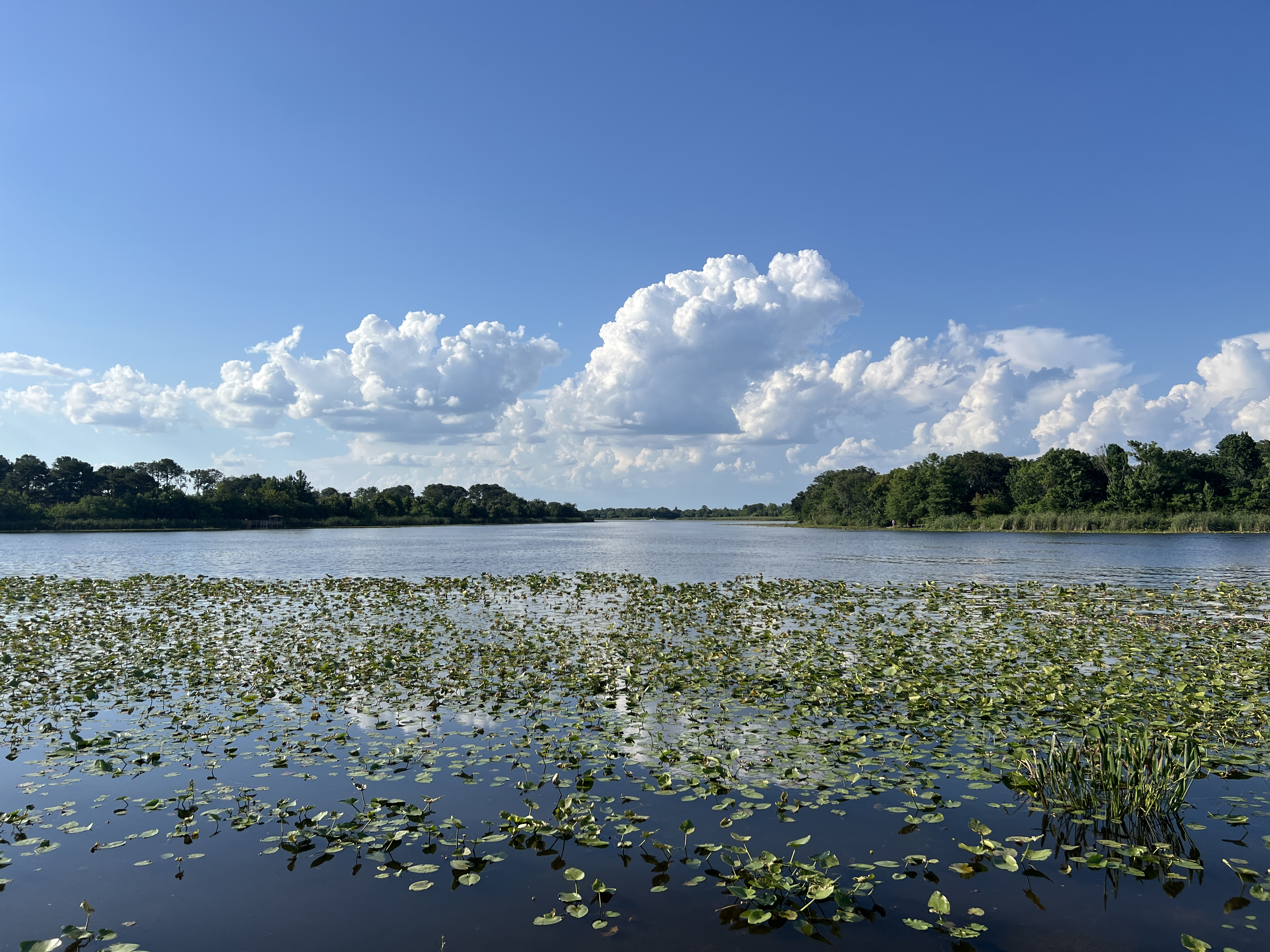 Wildlife and nature scene
